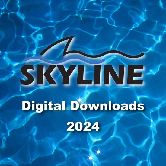 Skyline Swim 2024